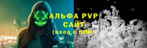 ECSTASY Кукмор