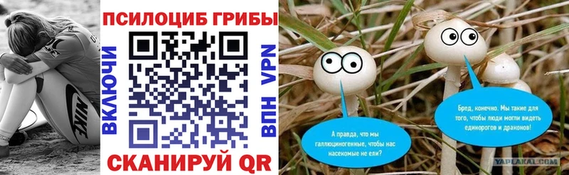 Псилоцибиновые грибы мицелий  Шумиха 